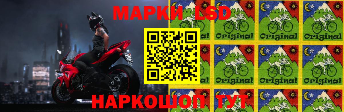 Галлюциногенные грибы Кувандык