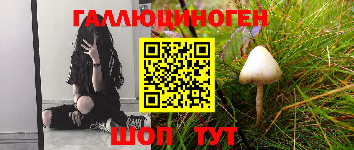 Галлюциногенные грибы Cubensis  Псилоцибиновые грибы Psilocybe  Кувандык  Вход с VPN 